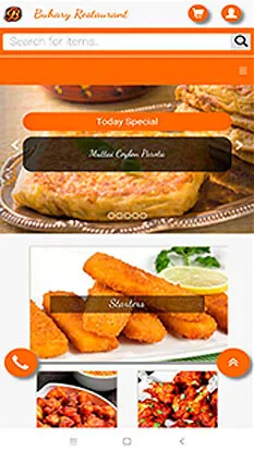 Aplicacion Web design - Parexton