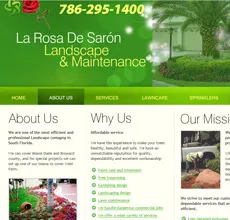 Web design Broward SEO, Build Business, Problem - solving websites, South Florida Website Design Services, website services, website design Services